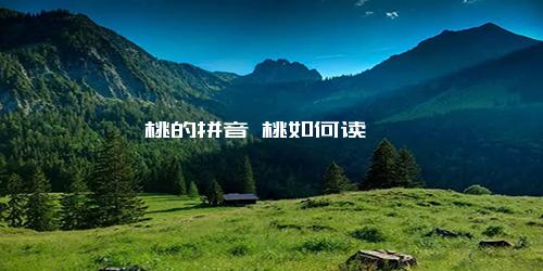 桃的拼音 桃如何读